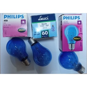 Bombilla Luz día o Luz solar.